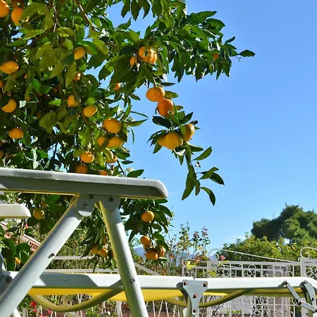 Laidback Appartamento