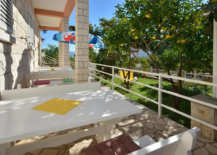 Laidback 오레비츠